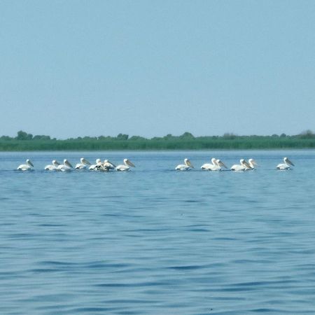 Gorgova Delta Village Dış mekan fotoğraf