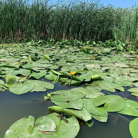 Gorgova Delta Village Dış mekan fotoğraf