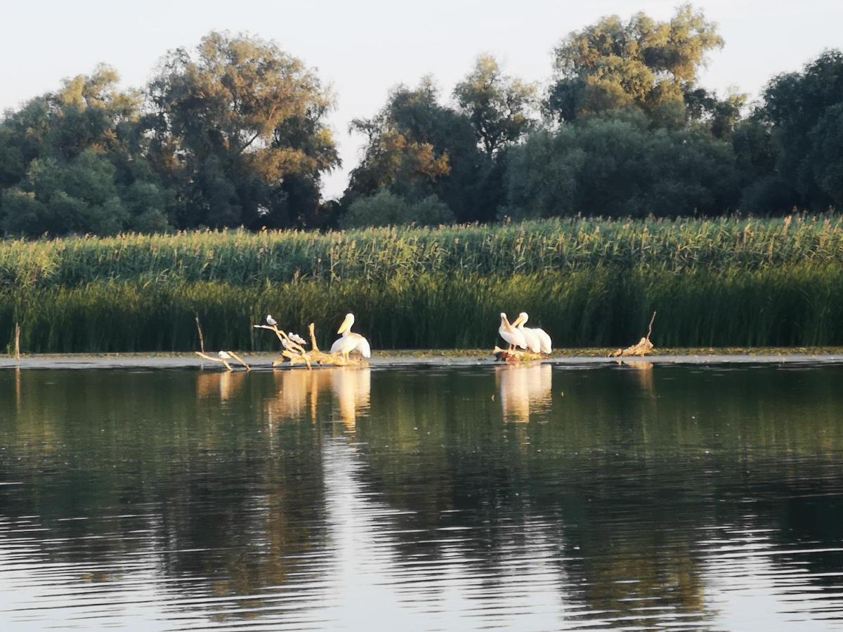 Gorgova Delta Village Dış mekan fotoğraf