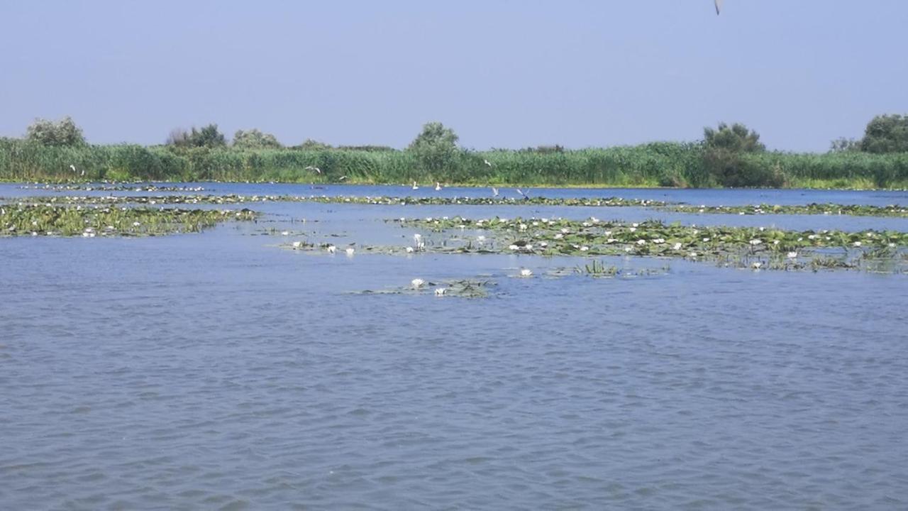 Gorgova Delta Village Dış mekan fotoğraf
