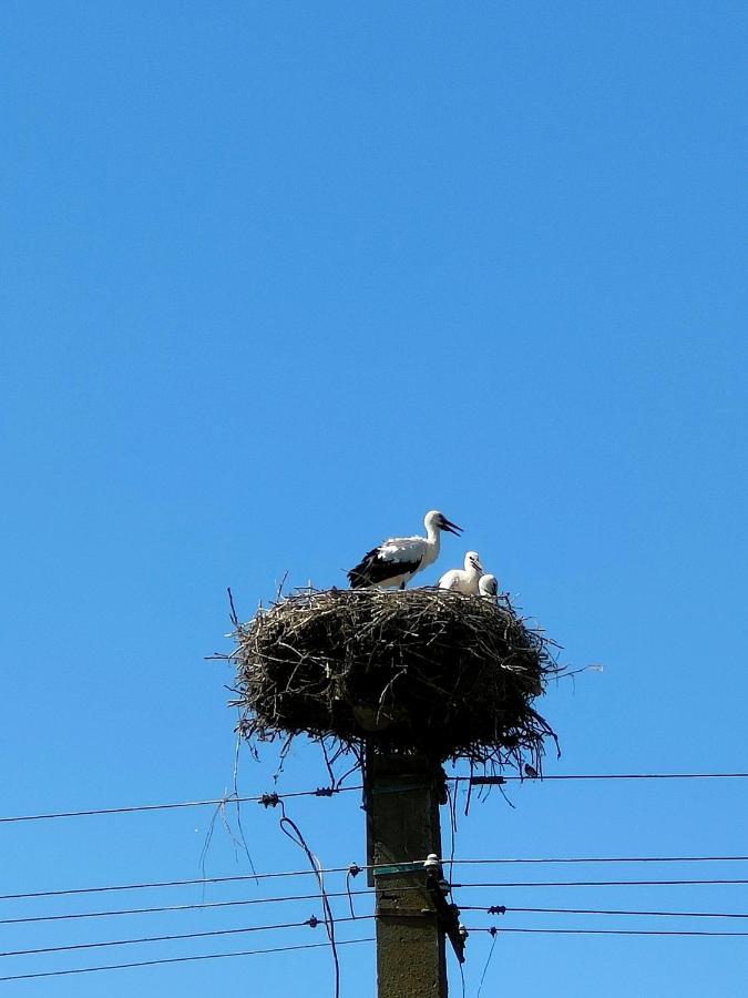 Gorgova Delta Village Dış mekan fotoğraf