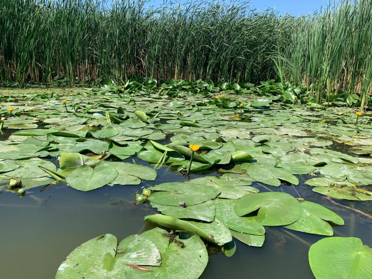 Gorgova Delta Village Dış mekan fotoğraf